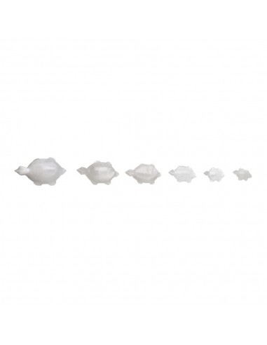 Famiglia di tartarughe di calcare bianco