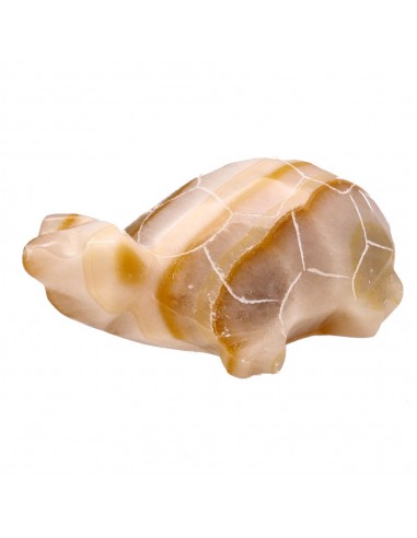 Famiglia di tartarughe di calcite...