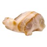 Multicolored Calcite Tortoise Family