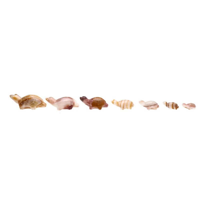 Famiglia di Tartarughe in Calcite Multicolore