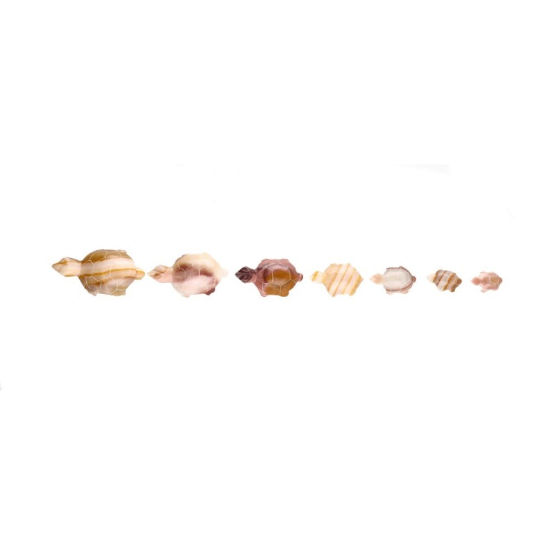 Famiglia di Tartarughe in Calcite Multicolore