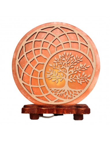 Lampada di sale "Cosmic Seed" fuori...