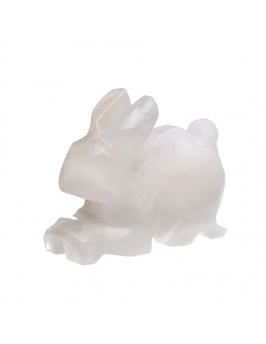 Famiglia di Conigli di Calcite...