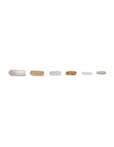 Famiglia di Conigli di Calcite...