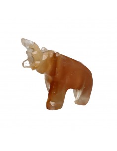 Famiglia di Elefanti in...