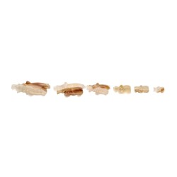 Famiglia di Elefanti Calcite Multicolore Grandi