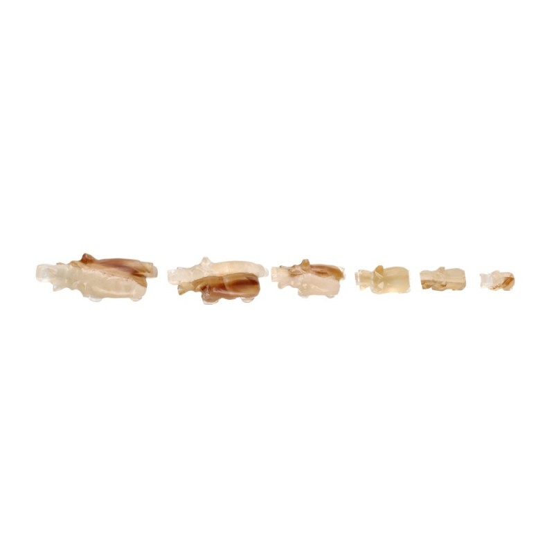Famiglia di Elefanti Calcite Multicolore Grandi