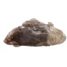 Quartz fumé rutilé brut (CR7)