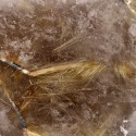 Polished Smoky Rutilated Quartz (CR10)