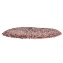 Garnet Chips