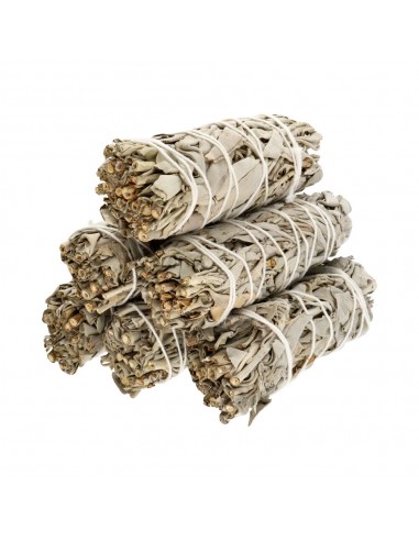 California White Sage (Salvia Apiana)