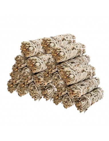 California White Sage (Salvia Apiana)