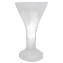 Copa de Selenita 2