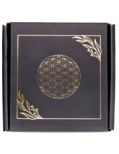 Mini Flower of Life Box Pack 2