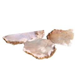 Cara Lucida di Agata Fiore di Ciliegio