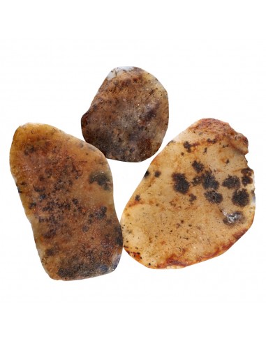 Ágata dendrítica semi-polida