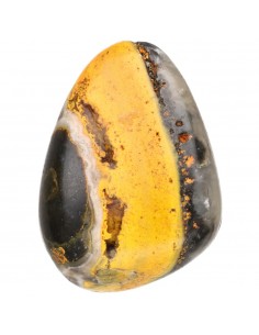 Pierced Rounded Bumblebee... 2