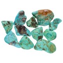 Natural Turquoise Rhodies (Pack 50gr)