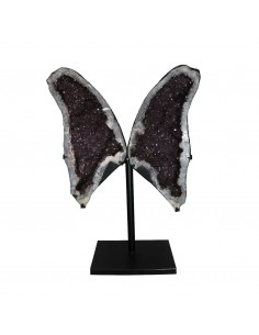 Ali di Ametista PA982