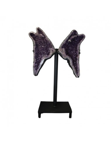 Ailes d'améthyste PA990