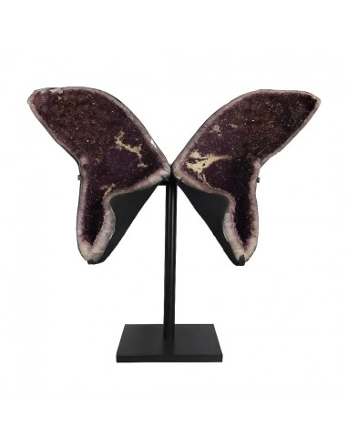 Ailes d'améthyste PA991