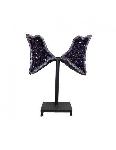 Ailes d'améthyste P21