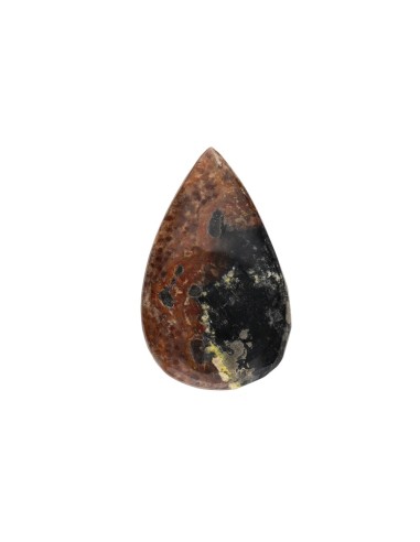 Cabochon di Agata Palm Root