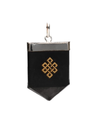 Pendente di Shungite Nodo Infinito...