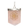 Rose Quartz Seed Pendant