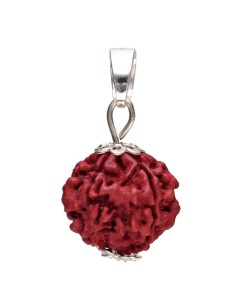 Colgante Seme di Rudraksha