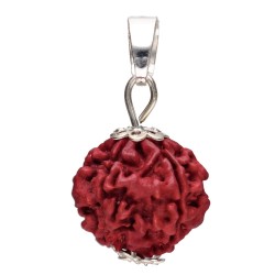 Pendente Semilla di Rudraksha