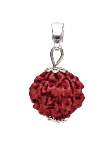Colgante Seme di Rudraksha