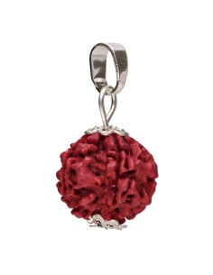 Colgante Seme di Rudraksha 2