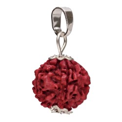 Pendente Semilla di Rudraksha
