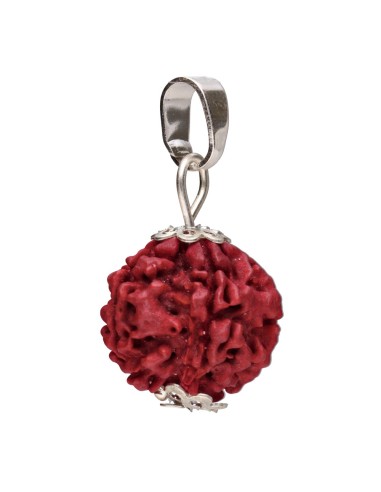 Colgante Seme di Rudraksha