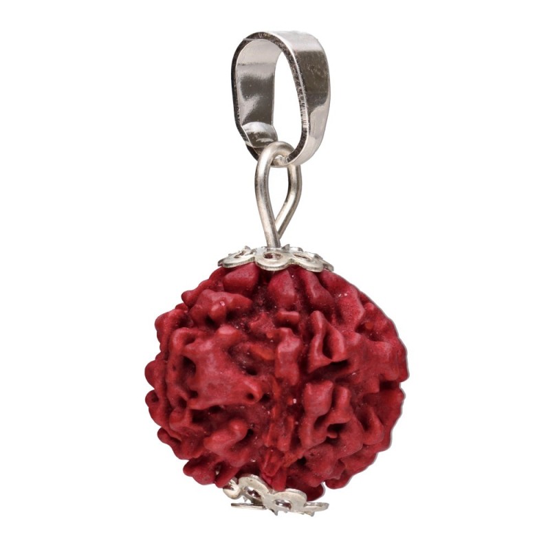 Pendente Semilla di Rudraksha