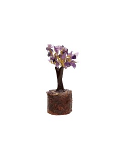 Albero di Amatista Mini con... 2