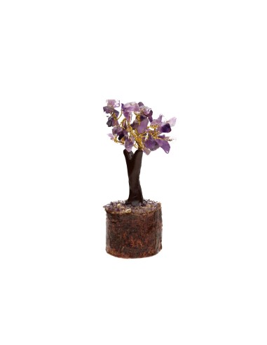 Albero di Amatista Mini con Base di...