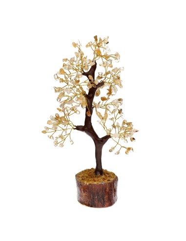 Albero di limone piccolo con base in...