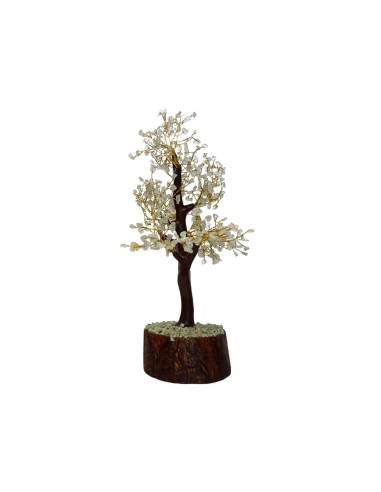 Albero di Acquamarina Mediano con...