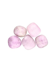 Rodati di Kuncita 3x2cm 2