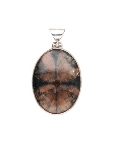 Pendentif en argent 925 en...