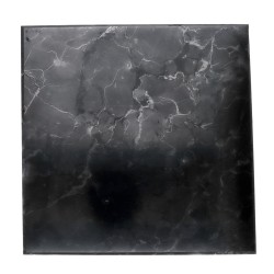 Piastra di Shungite con una Faccia Lucida 20x20