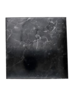 Shugit Plate with a Shiny... 2