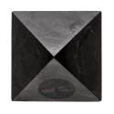 Pyramide de shungite polie avec arbre de vie 5x5cm