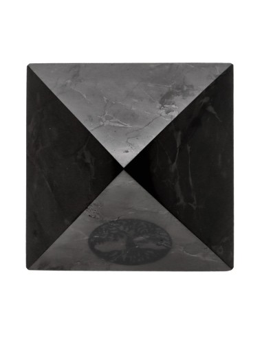Pyramide de shungite polie avec arbre...