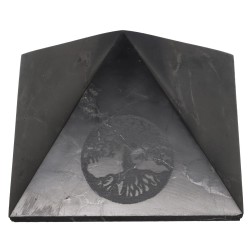 Piramide di Shungite Lucidata con Albero della Vita 5x5cm
