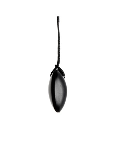 Ciondolo di lente di Shungite