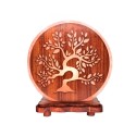 Lampada di Sale Bonsai