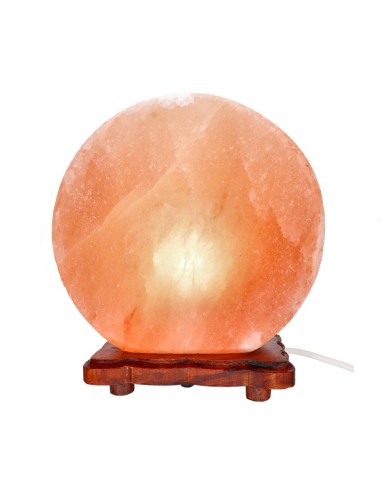 Bonsai Salt Lamp
